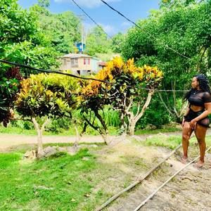 Meet your Posher, Romara